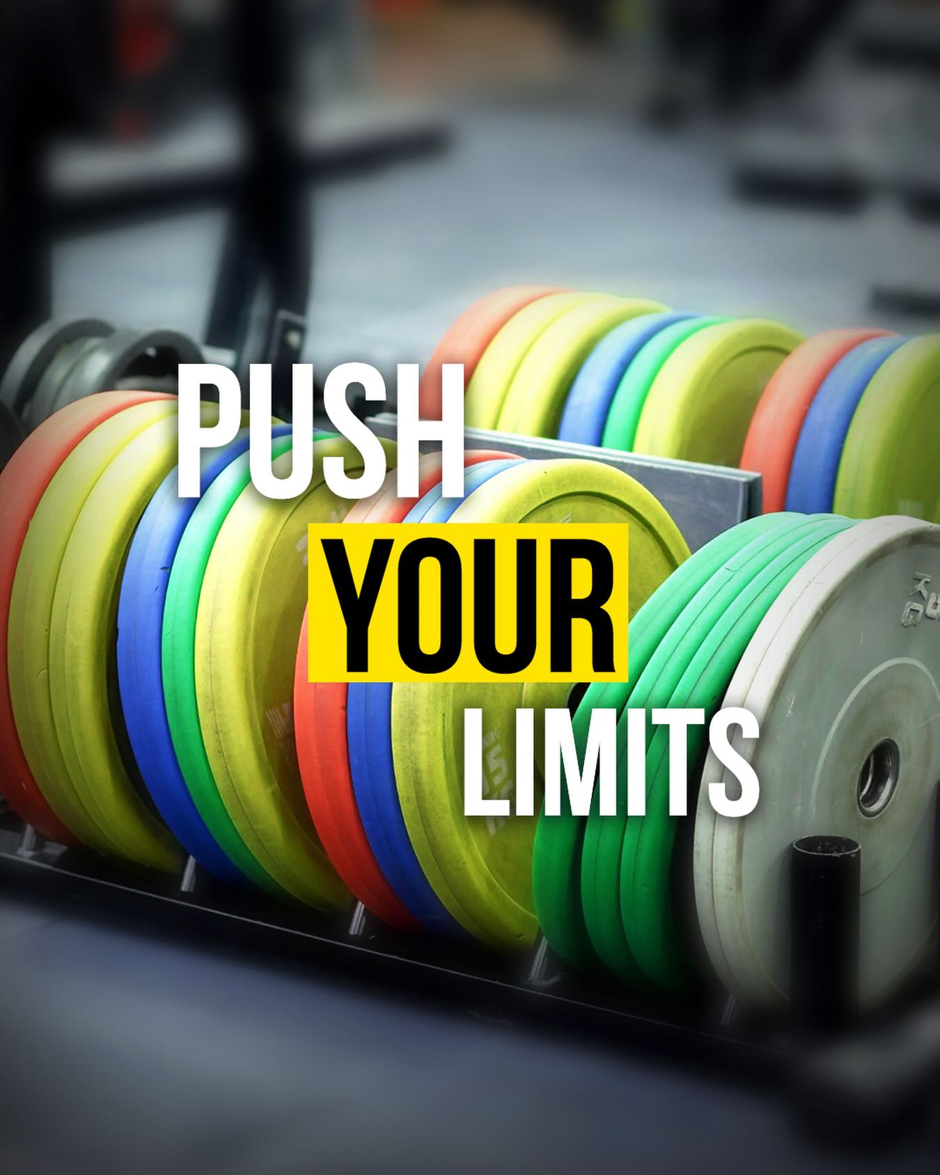 The training floor at True Fitness Club, Mumbai